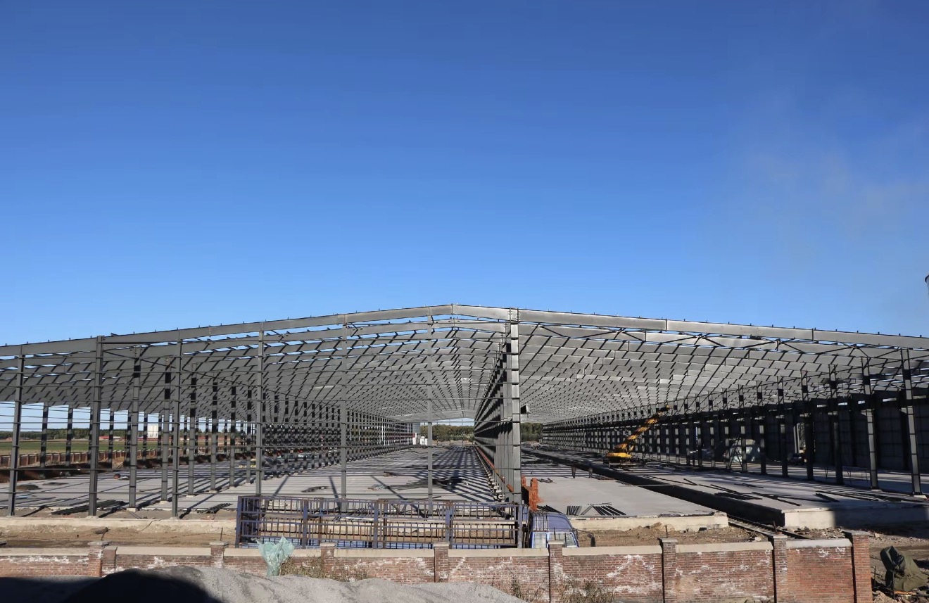Reference large-span warehouse steel structure for UAE logistics building buyers